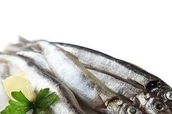 Giá cả thị trường ngày 13/9/2026