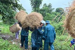 Bộ Chỉ huy Quân sự tỉnh chủ động giúp Nhân dân ứng phó với mưa lũ