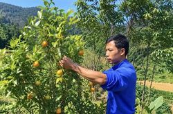 Vững thế trận lòng dân nơi biên giới