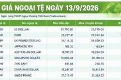 Tỷ giá ngoại tệ ngày 13/9: USD trên 26.000 đồng, CHF trên 32.300 đồng