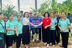 Trường Edison gieo mầm xanh, chào năm học mới