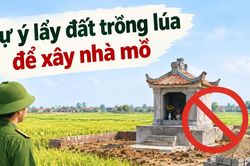 Tự ý lấy đất trồng lúa để xây nhà mồ