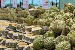 Sầu Black Thorn và Musang King có gì đặc biệt mà cả hai đều có giá 'siêu' đắt trên thị trường?