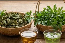 Nước lá đinh lăng tươi và nước lá đinh lăng khô, loại nào tốt hơn?