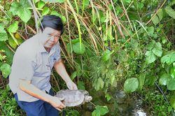 Đà Nẵng: Kịp thời cứu hộ, thả động vật hoang dã thuộc nhóm nguy cấp về rừng