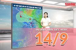 [Video] Dự báo thời tiết ngày 14/9/2026: Áp thấp nhiệt đới suy yếu, Trung Bộ tiếp tục mưa lớn