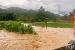 Lào Cai chủ động ứng phó mưa lớn, lũ quét và sạt lở đất