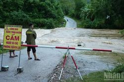 Phú Thọ chủ động ứng phó với mưa lớn, lũ quét và sạt lở đất