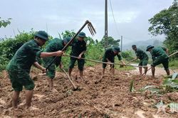 Bộ đội Biên phòng tỉnh Quảng Trị hỗ trợ người dân khắc phục thiệt hại sau mưa lũ