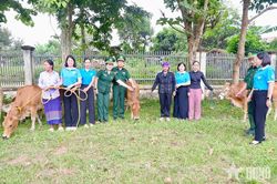 Hội Liên hiệp phụ nữ TP Hà Nội nối dài nhịp bước đồng hành tại tỉnh Nghệ An