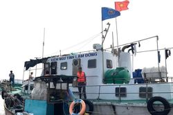 Lâm Đồng: Thuyền viên hành hung cán bộ kiểm ngư trên biển Phan Thiết