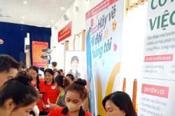 Định hướng nghề nghiệp, kết nối việc làm cho sinh viên năm nhất