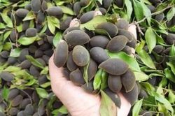 Đặc sản quả xay nhung miền Trung, từ thức quà rừng đến mặt hàng đắt khách