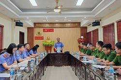 Giải pháp nâng cao chất lượng công tác kiểm sát tạm giữ, tạm giam và thi hành án hình sự