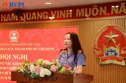 VKSND TP Hồ Chí Minh rút kinh nghiệm án tạm đình chỉ và trả hồ sơ điều tra bổ sung