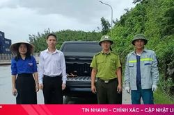 Hà Tĩnh: Bàn giao cá thể trăn gấm nặng 7kg