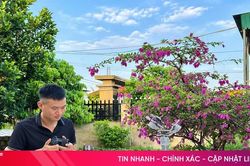 Nghị lực của chàng trai chạy thận ở Hà Tĩnh