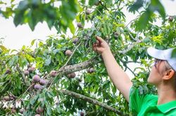 Lào Cai hỗ trợ khu vực kinh tế tư nhân tăng cạnh tranh, mở rộng xuất khẩu