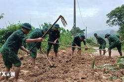 Quảng Trị: Bộ đội Biên phòng khẩn trương giúp dân khắc phục hậu quả mưa lũ