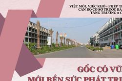 Gốc có vững mới bền sức phát triển
