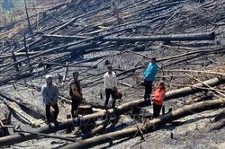 Phê bình trách nhiệm chủ rừng, xử lý nghiêm các điểm nóng phá rừng