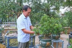Người cao tuổi chung sức xây dựng nông thôn mới