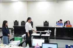 Tòa hủy án sơ thẩm, điều tra lại vụ cựu Hiệu trưởng Nguyễn Thị Bình