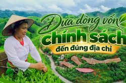 Đưa dòng vốn chính sách đến đúng địa chỉ