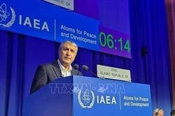 Iran phản đối việc quan chức năng lượng không thể tham dự Hội nghị IAEA