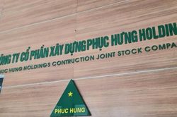 Phục Hưng Holdings dự chi 25 tỷ đồng trả cổ tức tiền mặt