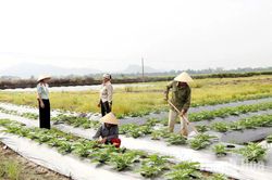 Lợi ích từ việc nâng cao trình độ cho cán bộ thôn