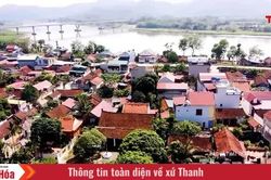 Đình làng Chí Cường - nơi lưu giữ hồn quê xứ Thanh