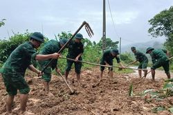 Quảng Trị: Lũ rút, khẩn trương khắc phục hậu quả