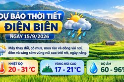 Bản tin Dự b&aacute;o thời tiết ng&agrave;y 15/9/2026