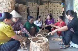 Hỗ trợ hợp tác xã do phụ nữ tham gia quản lý, tạo việc làm cho lao động nữ