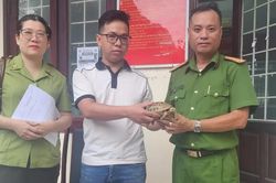 Người dân Quy Nhơn tự nguyện giao nộp rùa núi vàng quý hiếm