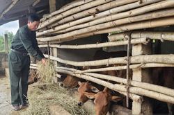 Tiếp nối tinh thần xung phong