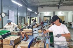 Để phát triển công nghiệp hỗ trợ