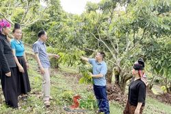 Thúc đẩy phát triển kinh tế ở Mường Lầm