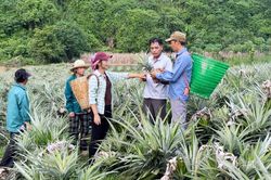 Nhân rộng những 'đầu tàu' kinh tế ở Minh Quang