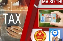 Cục Thuế chấn chỉnh việc yêu cầu hồ sơ không có căn cứ khi chấm dứt mã số thuế