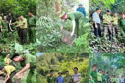 C&ocirc;ng an Tuy&ecirc;n Quang đẩy mạnh c&ocirc;ng t&aacute;c tuy&ecirc;n truyền, vận động Nh&acirc;n d&acirc;n bảo vệ động vật hoang d&atilde;, chim di cư v&agrave; nguồn lợi thủy sản