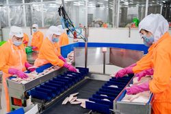 Phó Tổng giám đốc Navico tiếp tục 'xuống tiền' mua cổ phiếu ANV