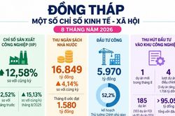 Kinh tế Đồng Tháp tháng 8: Thêm 207 doanh nghiệp mới, 3 dự án tăng vốn