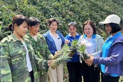 Phát huy tiềm năng, trí tuệ của phụ nữ, đóng góp vào sự phát triển tỉnh (Bài 2)
