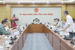Tập trung tháo gỡ vướng mắc, đẩy nhanh tiến độ Dự án Chăn nuôi bò sữa và chế biến sữa công nghệ cao