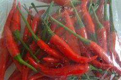 Đừng vội rửa ớt trước khi cho vào tủ lạnh: Làm đúng cách này, ớt lâu héo, hạn chế úng