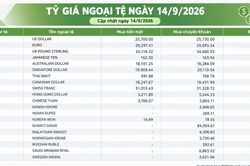 Tỷ giá ngoại tệ ngày 14/9: USD trên 26.000 đồng, EUR vượt 30.800 đồng
