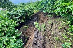 Lâm Đồng ghi nhận 47 nhà dân bị ảnh hưởng, hàng chục ha cây trồng ngập úng do mưa lũ