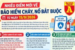 Những điểm mới về bảo hiểm cháy, nổ bắt buộc từ 15/9